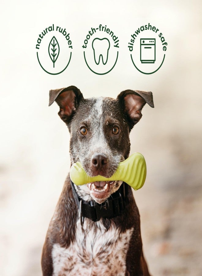 Benebone 2-Pack Bacon Wishbone/Rubber Bone Medium - Image 5